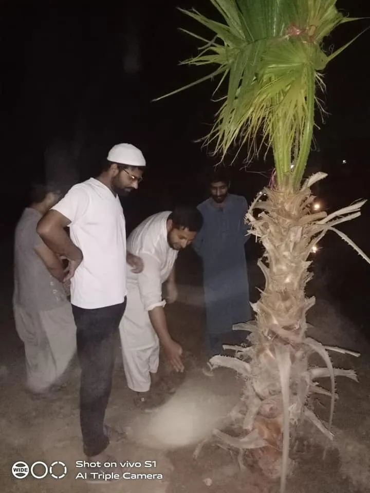 Green Seekers Activity